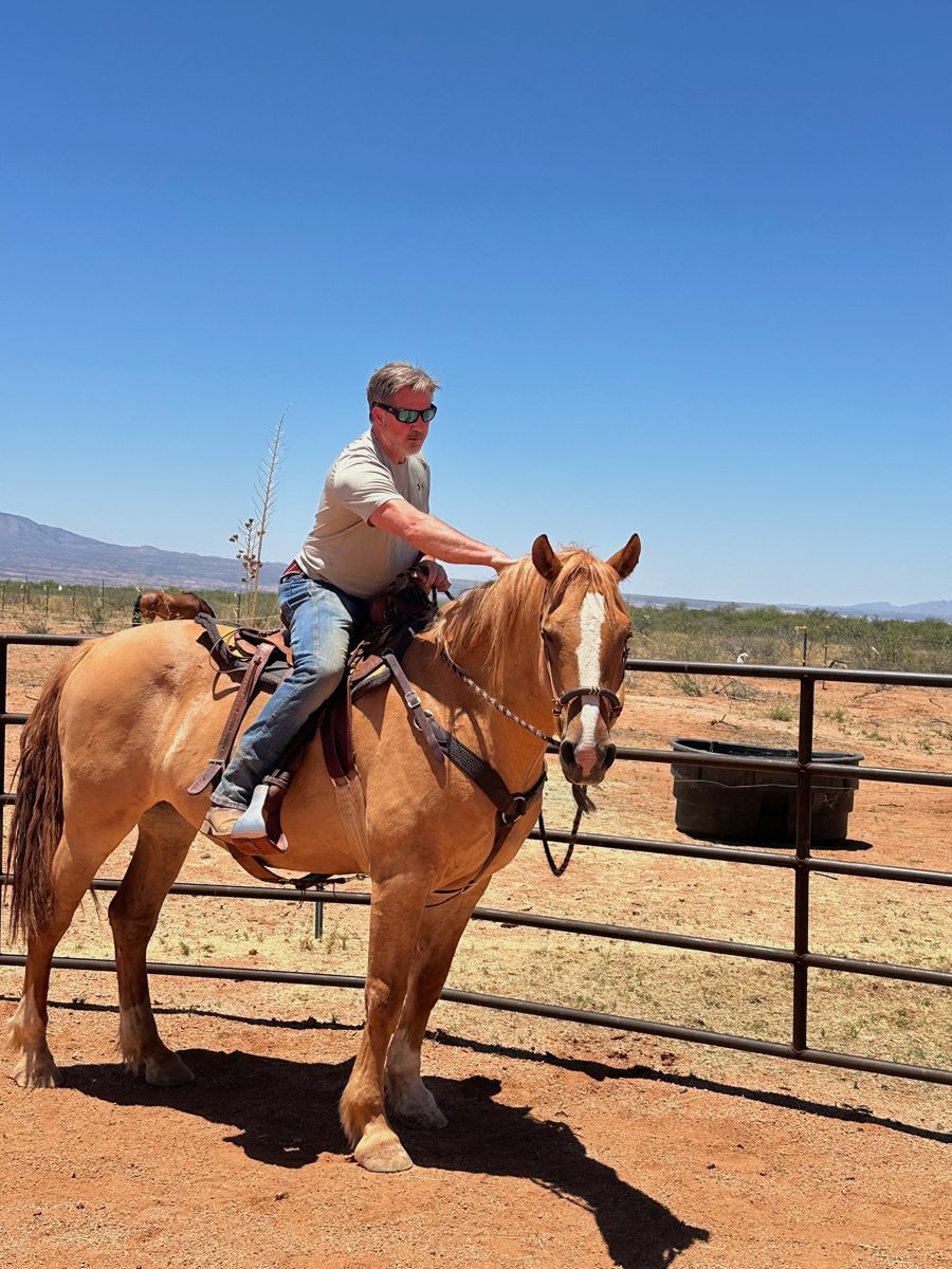 First ride — Red in the round pen.